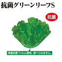 【バラ販売】グルメシート 抗菌グリーンリーフS 丸小(1箱/1000枚入)【規格内容】幅70×長さ55mm