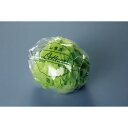 【バラ販売】青果袋 FG#20ラクラクレタス 2H 1色(1包/1000枚入)(3)