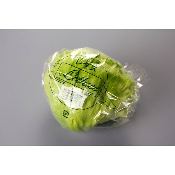 樂天商城 - 【ケース販売】青果袋 POSラクポスレタス20＃290X330（1ケース/5000枚入）