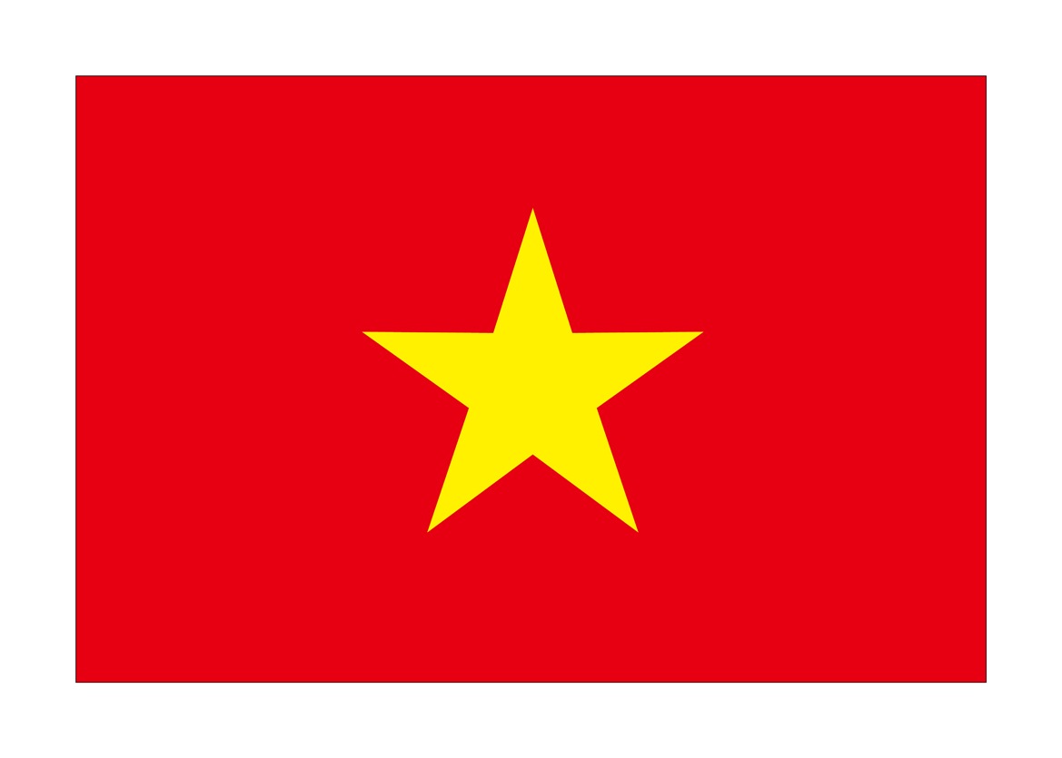 乐天商城 - [N] ビッグフラッグ大 国旗 ベトナム 大(販促用) 54486（1枚）