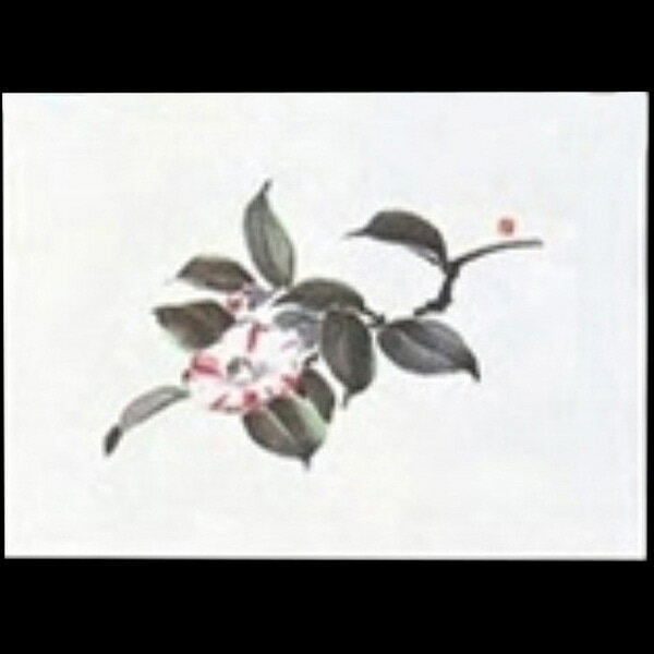 Rakuten - 【バラ販売】Z5－15遠赤抗菌鮮度保持和紙小　椿（1袋/100枚入）4562160010986