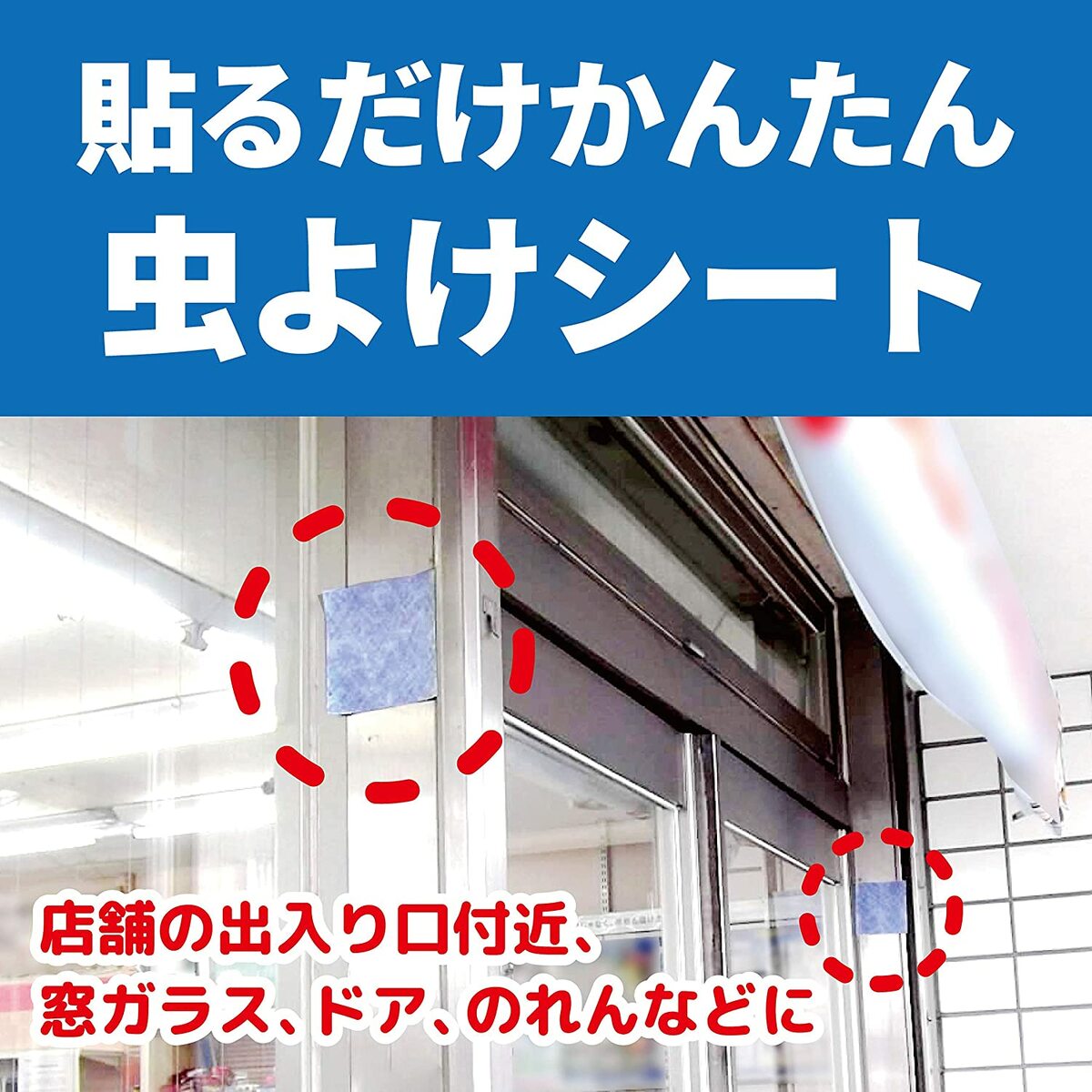 ��̳����ʡ��������� 100�� �����ȥ����� ���饹�� ��褱�������1��6�������