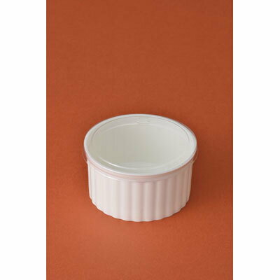 IK75���ե�PPIV����1�ޡ�10������