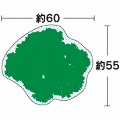 ����᥷���ȡ��ѥ��ꡡ�ݡ���1�ޡ�100��������