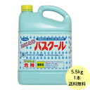 【1本】5.5kg・カビとりバスクール ニイタカ 風呂 湯垢汚れ カビ 洗浄 除菌 漂泊厨房 浴室 浴槽 カビ取り剤 洗剤 5.5kg×1本入 送料無料
