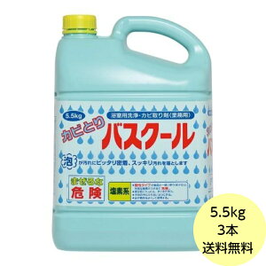 【3本】5.5kg・カビとりバスクール ニイタカ 風呂 湯垢汚れ カビ 洗浄 除菌 漂泊厨房 浴室 浴槽 カビ取り剤 洗剤　5.5kg×3本入 送料無料■