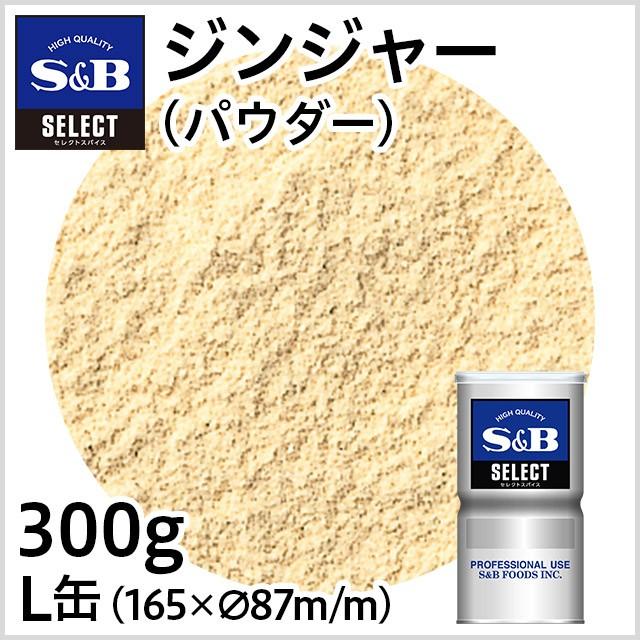 【1缶】 S&B エスビー ジンジャーパウダー L缶 300g (コード 041566)