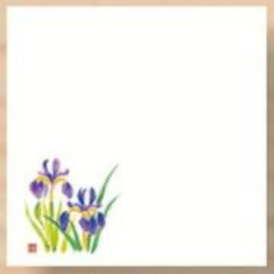 高級和紙 四寸 懐紙◇季節の花や植物の柄の懐紙です。※印刷物の色は実際の色とは多少異なる場合があります。●形状：角●サイズ：120×120mm●材質：和紙●入数：100枚入