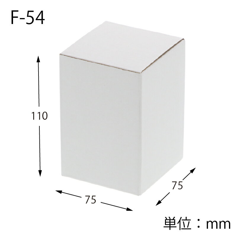 楽天ぱっけーじ屋さんフリーボックス F−54 （10枚入） ≪サック式≫ 【お取り寄せ品】
