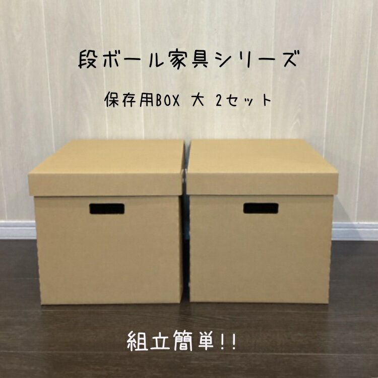 保存BOX大2個セット　クラフトボックス　段ボール　ダンボール　シンプル　押入れ収納　フタ付　ストックボックス　メモリアルボックス　スタイリッシュクローゼット　コンパクト　下着収納ボックス　おもちゃ箱　衣類収納　クラフト収納　家具　玩具収納　子供部屋収納