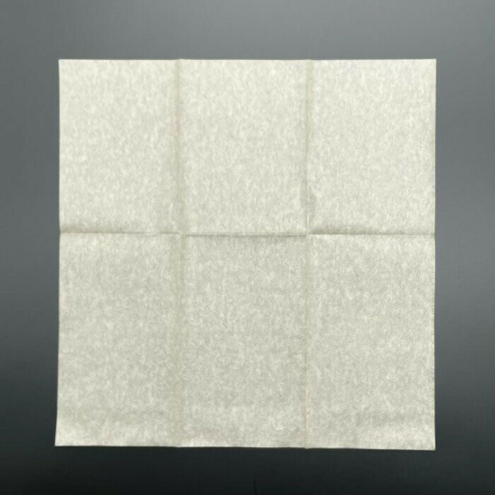 ��100������6���ޥʥե��󡡿�̤�����ݥ���250��250 mm ���̤��̵�ϡ˰���Ź �ƥ��������� �������� �ǥ�Х꡼ ���� ���å��󥫡� ��ʥե���