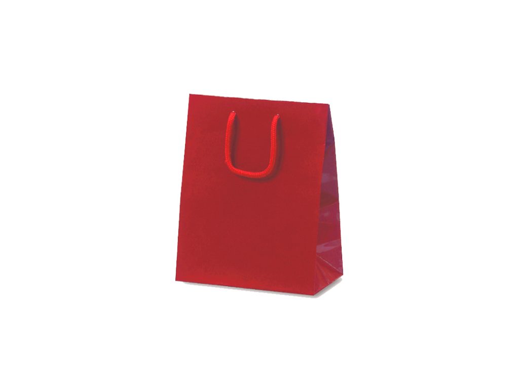 ڼޡۥߥ˥Хå 磻 100 190110250mm