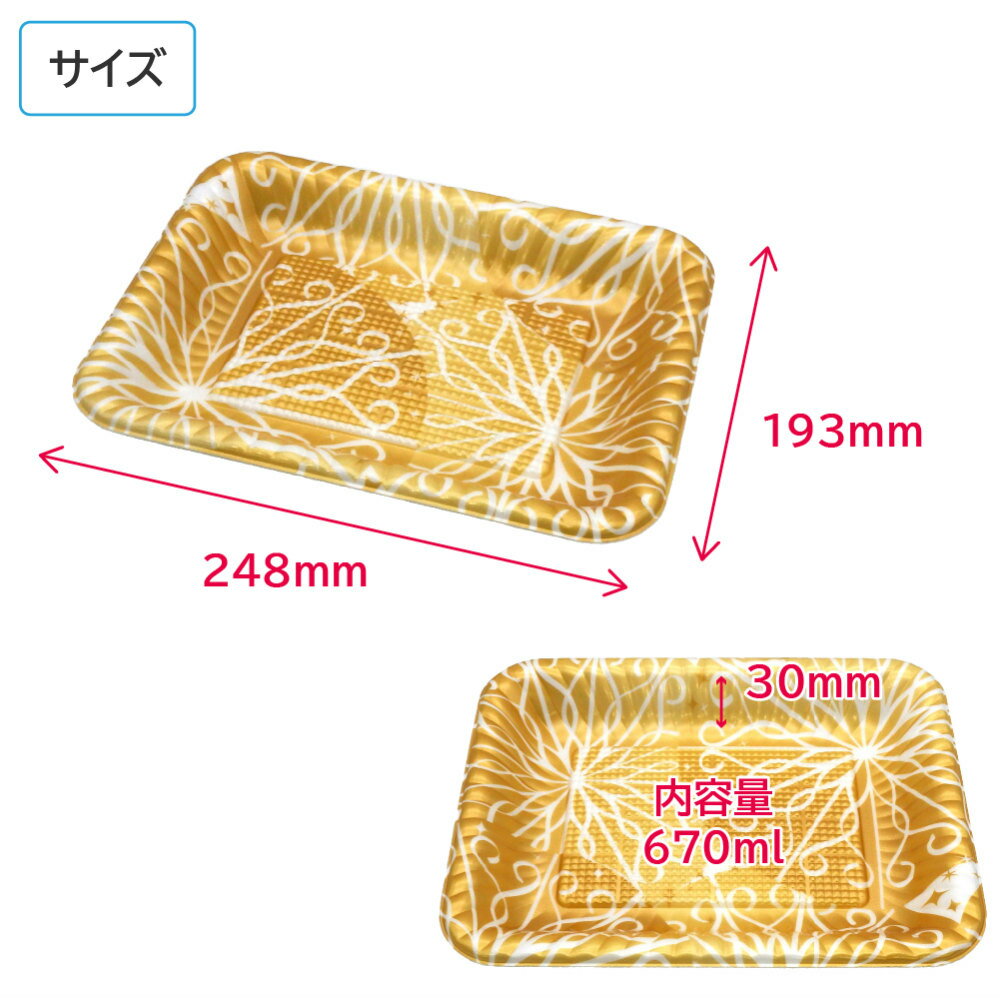 オードブル チキン TPPDプレート K25-20 ルナG 身 248×193×30mm 1ケース 800枚 241240 お持ち帰り テイクアウト 2