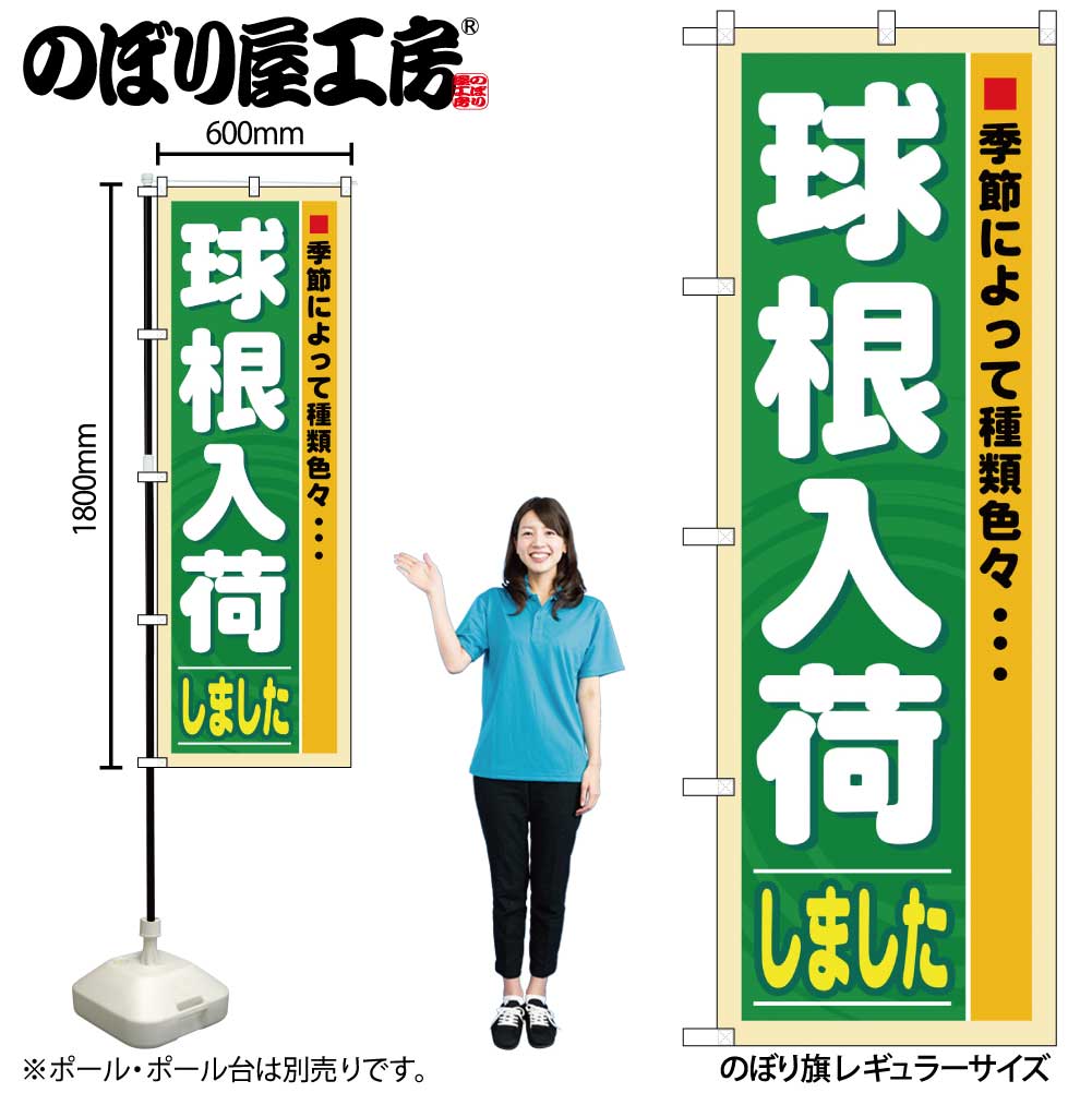 【メール便3枚まで】のぼり のぼり旗 3251 球根入荷 W60×H180cm 1枚 三方三巻 販促 商売繁盛【受注生産品】