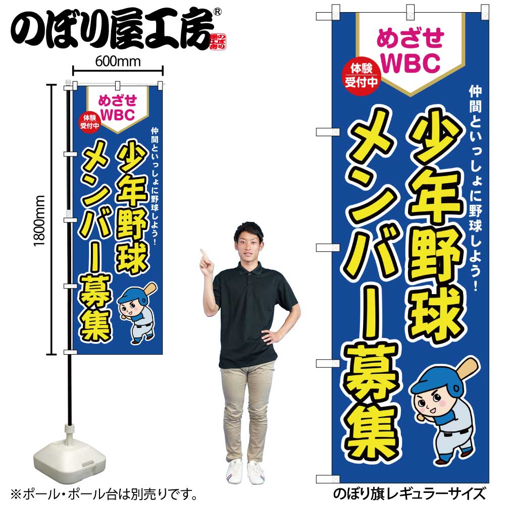 【ネコポス3枚まで】のぼり のぼり旗 GNB-3362 少年野球メンバー募集 めざせWBC W60×H180cm 1枚 三方三巻 販促【受注生産品】