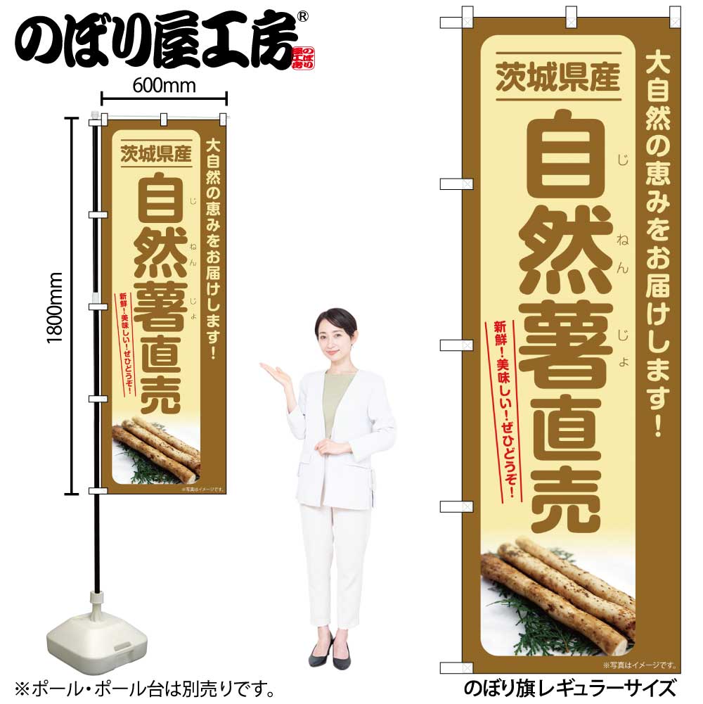 【ネコポス3枚まで】のぼり のぼり旗 SNB-7297 自然薯直売 茨城県産 W60×H180cm 1枚 三方三巻 販促 商売繁盛【受注生産品】