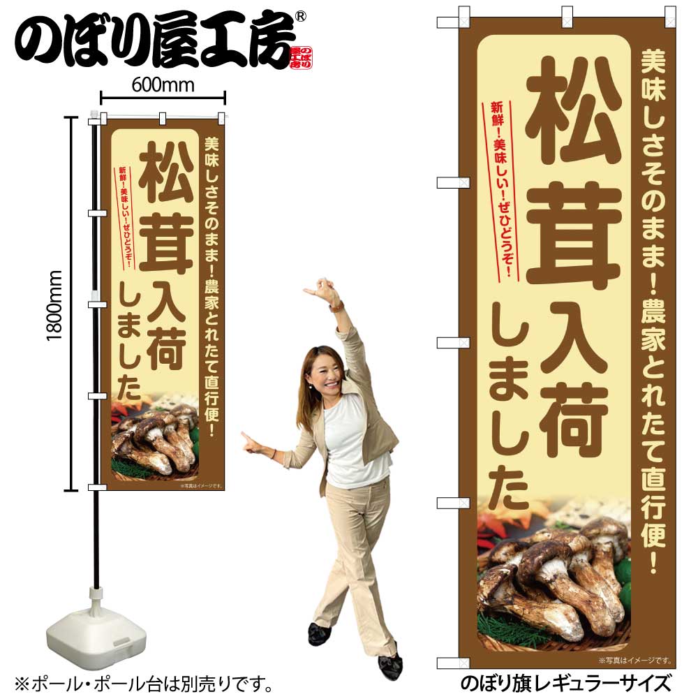 【メール便3枚まで】のぼり のぼり旗 SNB-7343 松茸入荷しました W60×H180cm 1枚 三方三巻 販促 商売繁盛【受注生産品】