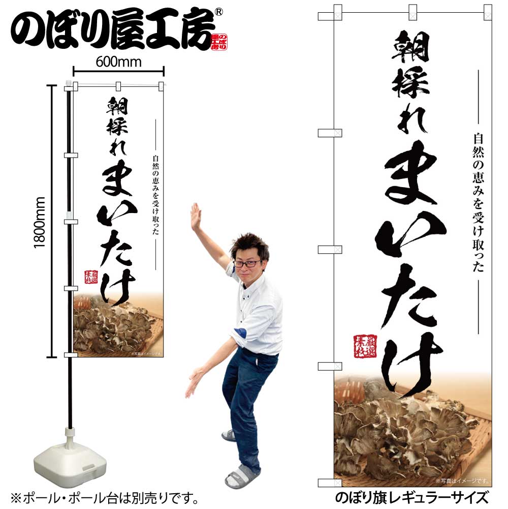【メール便3枚まで】のぼり のぼり旗 SNB-7450 まいたけ 朝採れ W60×H180cm 1枚 三方三巻 販促 商売繁盛【受注生産品】