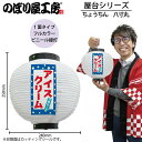 提灯 ちょうちん 43742 アイスクリーム 八寸丸 白 φ240×H250mm 1個 祭 縁日 屋台 飲食店 販促 商売繁盛【受注生産品】