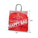 【福袋】T−6 HAPPY BAG(200枚入) 320×110×330mm