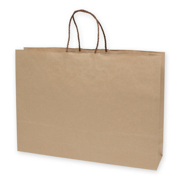 ڼ/ɳ25㡼Хå 55-1 200 550120400mm  üդ ѥ  ⥸