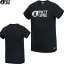 PICTURE ピクチャー BASEMENT ICEFIELD TEE 21SS コットン Tシャツ 半袖 Men :MTS675