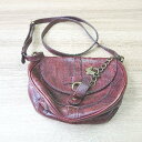 ◇ ANNA SUI アナ スイ チェーン カジュアル おしゃれ ショルダ−バッグ ブラウン レディース E 【中古】