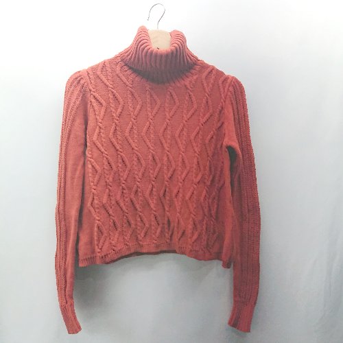 ◇ ⊇ liina タートルネック 長袖 ニット サイズ38 レンガ レディース E 【中古】
