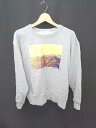 ◇ Θ AMERICAN HOLIC アメリカンホリック 長袖 トレーナー サイズM ライトグレー系 レディース E 【中古】