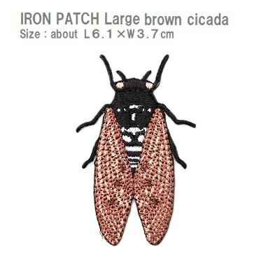 ワッペン アブラゼミ 全長6.1×最大横幅3.7cm前後 《刺繍ワッペン アイロンワッペン アップリケ 昆虫ワッペン 男の子ワッペン》のサムネイル
