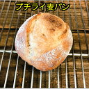 プチ ライ麦 パン 低温 長時間 熟成 カンパーニュ パン 無添加 保存料 不使用 朝食 ランチ デ ...