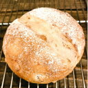 くるみ たっぷり パン 無添加 保存料 不使用 朝食 昼食 夕食 モーニング ランチ ディナー おやつ ギフト プレゼント 手土産 お土産 おいしい おすすめ ...