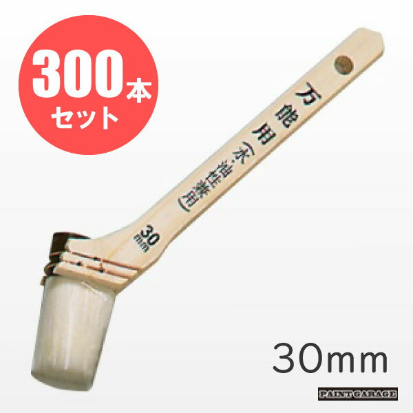 ���ƥå���ǽ���ӡʿ������������ѥϥ���30mm������¤��㤤��300�ܡ�Ȣ���˥��å�