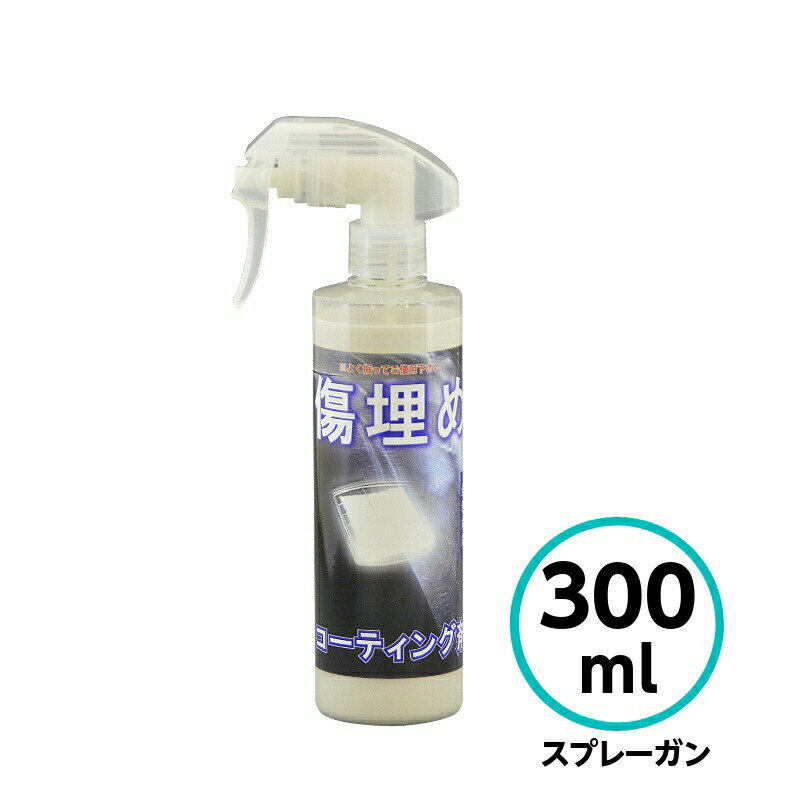 クリスタルプロセス　傷埋めコーティング剤 300ml スプレーガン