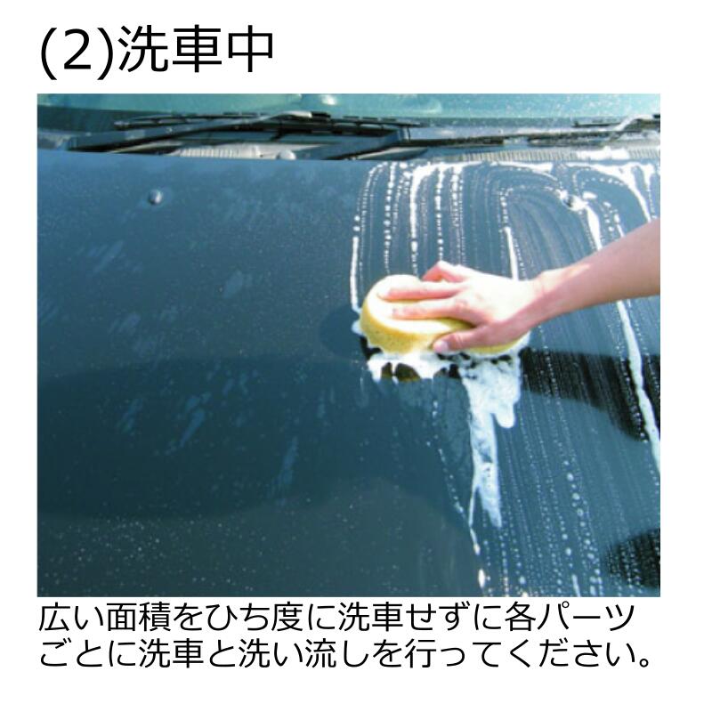 ���ꥹ����ץ����� Ķ���女���ƥ��󥰥����ס� 18L ���� ���� ������ �� ��ư�� �Х���