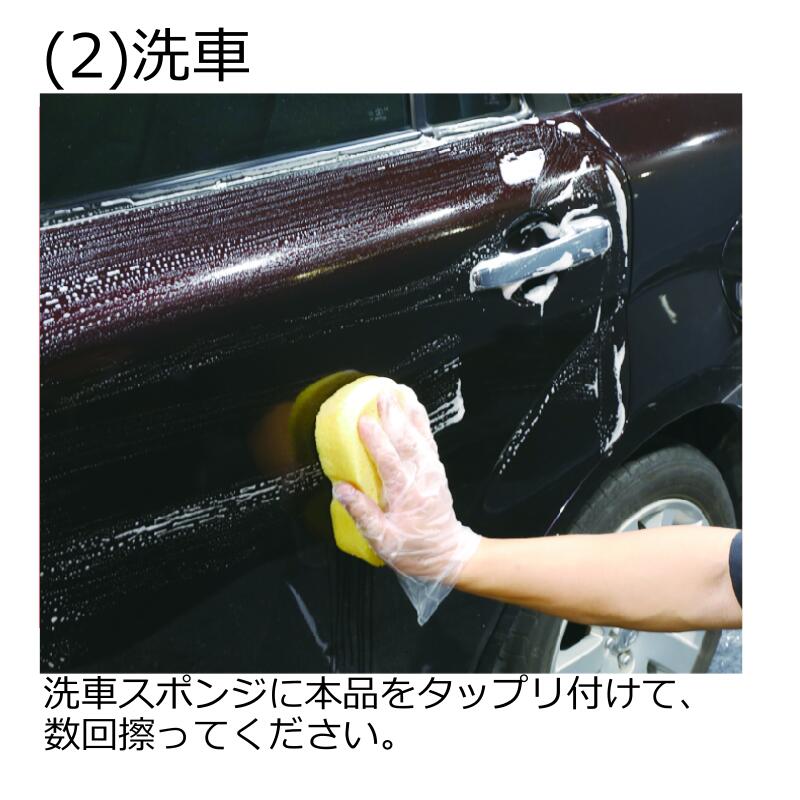 ���ꥹ����ץ����� �����߽�����ס� 18L ���� ������ �ؾ��� �� ��ư�� �Х���