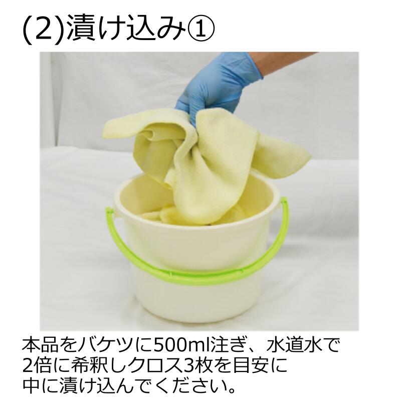 ���ꥹ����ץ����� ����������� 4L ���饹�����ƥ��� ������ �ۿ��� ���� ���륫���� ʬ�� �� ��ư�� �Х���