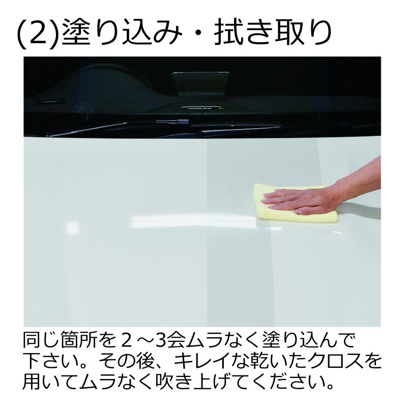 ���ꥹ����ץ����� R-800 4L ���饹�� �����ƥ��� �� ��ư�� �Х���