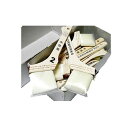 【 即日発送 】【1ケース(12本入り)】カラーワークス2水性用刷毛 60mm(25号) カラーワークス 水性塗料用刷毛
