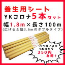 YKコロナポリシート お得な5本セット 幅1.8m×長さ100m(広げると幅3.6mのダブルタイプ) 塗装小物 養生 シート