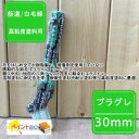 プラグレ スーパーハード (緑) 刷毛【30mm】 筋違/白毛緑ペンキ 塗装 建築 微弾性塗料 耐火塗料 高粘度塗料 大塚刷毛 マルテー