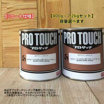 【プジョー/シトロエン EFC】 BLANCE PEARL NACRE 【カラーレイヤー1+カラーレイヤー2】プロタッチ 1液型塗料 自動車補修 ロックペイント