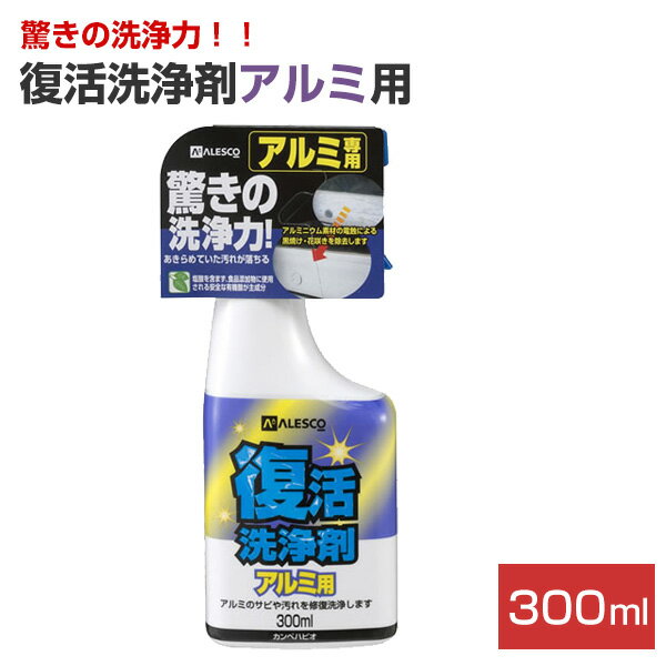 楽天市場 復活洗浄剤サビ取り用 80g カンペハピオ ペイントジョイ楽天市場店