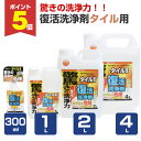 【期間限定P5倍】 カンペハピオ 復活洗浄剤 タイル用 300ml-4L