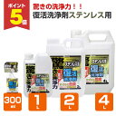 【期間限定P5倍】 カンペハピオ 復活洗浄剤ステンレス用 300ml-4L