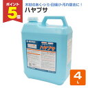 【期間限定P5倍】 ミヤキ ハヤブサ 4L