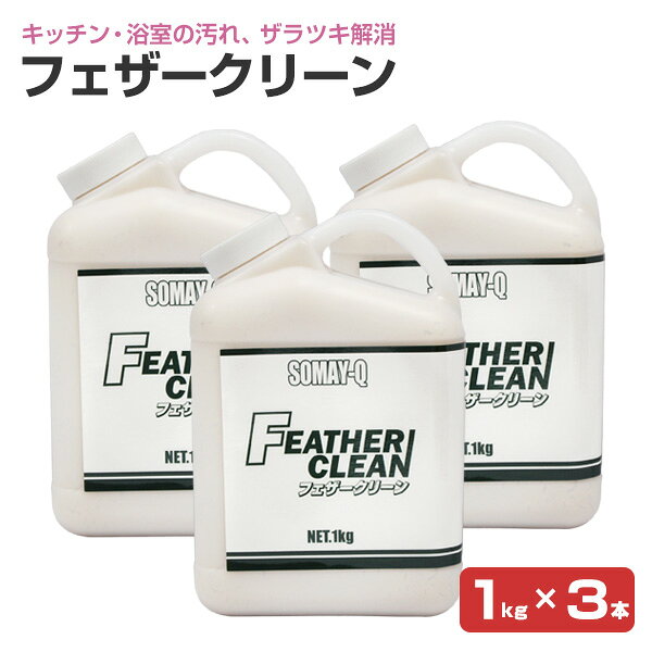 Rakuten - フェザークリーン 1kg×3本セット （123829/クレンザー/染めQテクノロジィ）