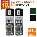 【8/25限定P10倍】 サンデーペイント 黒板用スプレー 緑 黒 300ml 2本 / 149893 /149892