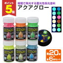 【期間限定P5倍】 アクアグロー(水性夜光ペイント) 20g×6色セット(蓄光塗料/夜光塗料/シンロイヒ)