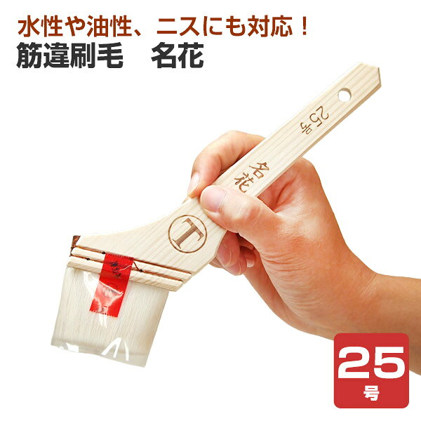メーカー 大塚刷毛製造 用途 水性塗料・弱溶剤塗料に最適 サイズ 25号筋違刷毛　名花 商品説明 木部用ニスに対応。 ダメ込み作業等の細かい箇所の塗装に使用されている、オーソドックスなサイズです。 特長 ・大塚刷毛製造の名花は、特殊製法で刷毛の固まりを抑え、溶剤型にも適応。 木部の速乾水性ニスには純毛の仕上がり感で長期使用が可能です。 関連商品 筋違刷毛　名花　10号 筋違刷毛　名花　15号 筋違刷毛　名花　20号 筋違刷毛　名花　25号 筋違刷毛　名花　30号